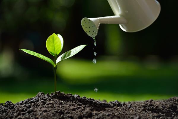 Disturbi dell apprendimento